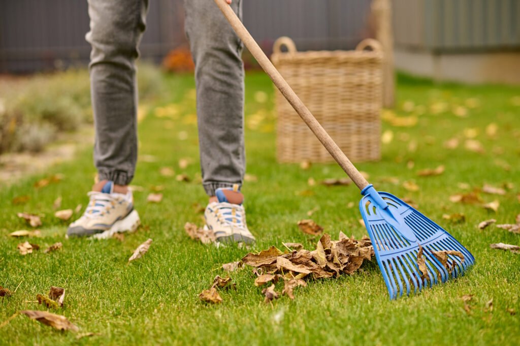 Garden Cleaning